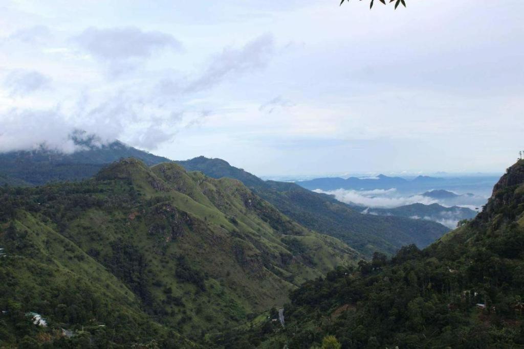 Amado Homestay エッラ エクステリア 写真