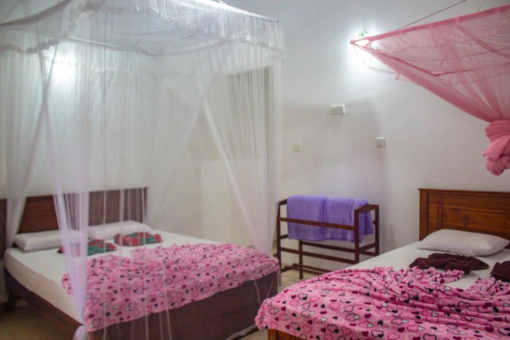 Amado Homestay エッラ エクステリア 写真