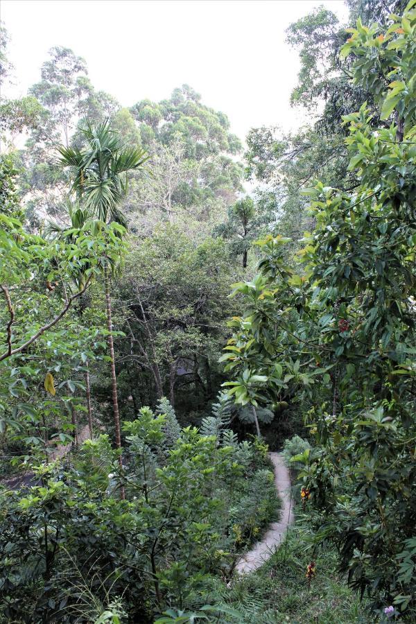 Amado Homestay エッラ エクステリア 写真